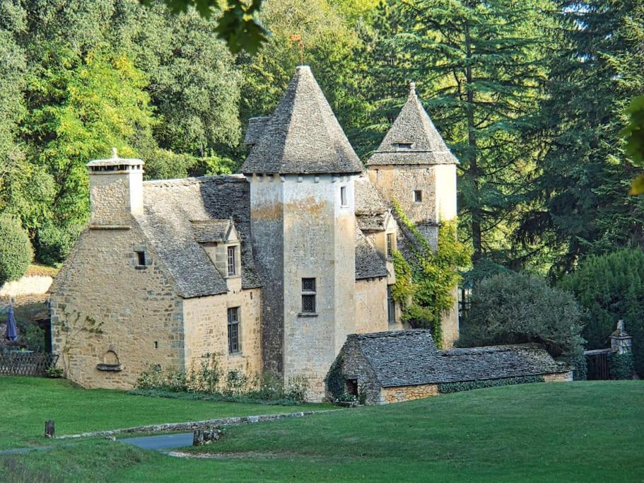 Logement D'Exception Dans Le Chateau De Lacypierre Saint-Crépin-et-Carlucet Extérieur photo